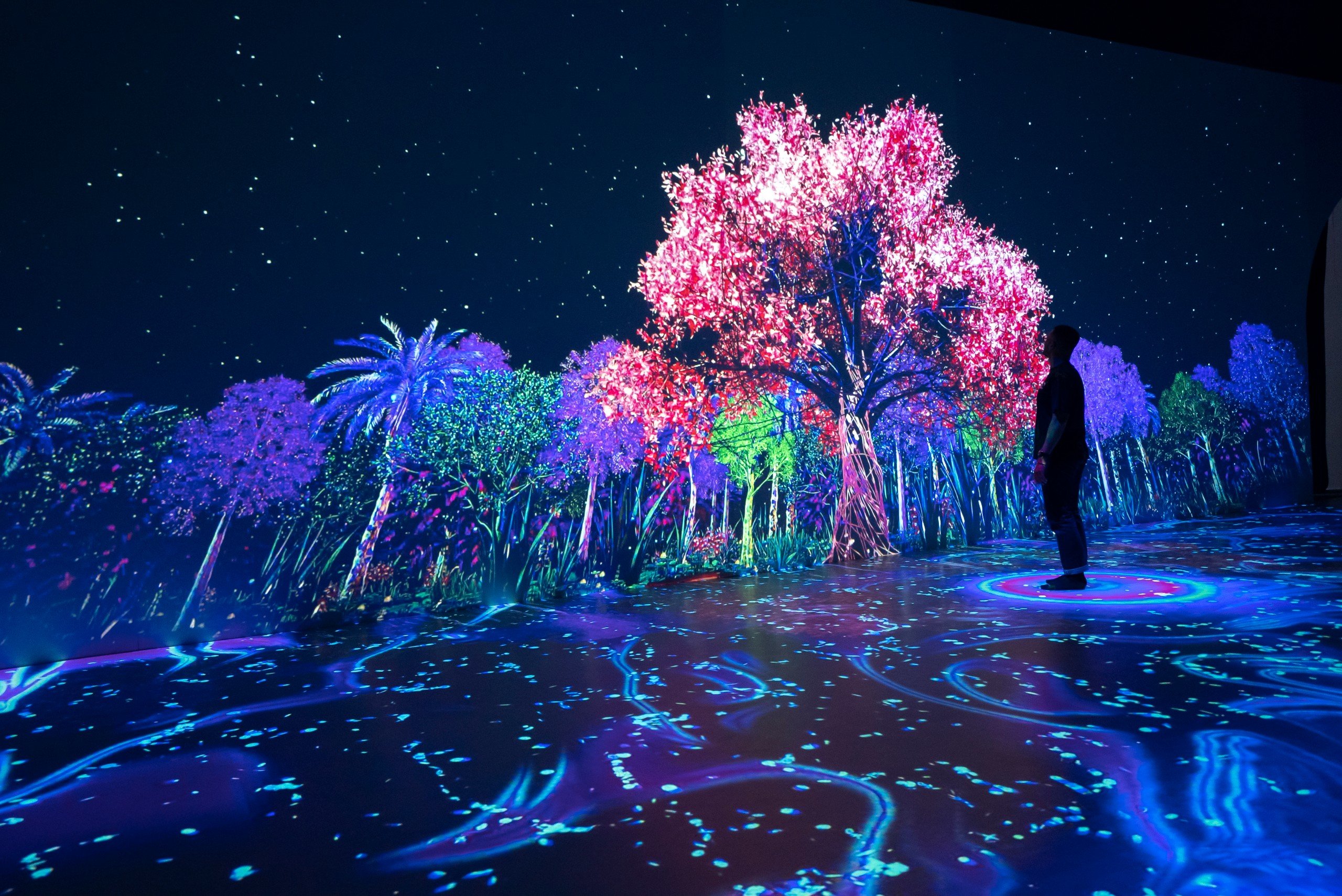 Билет на посещение Songlab Digital Art Centre в Хю
