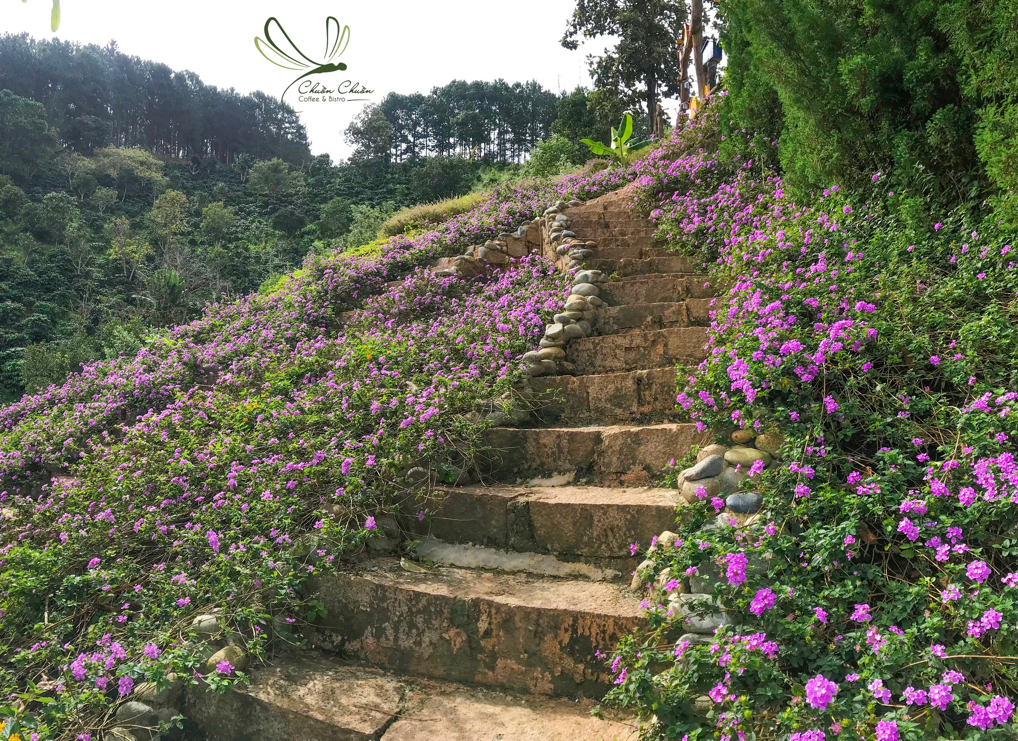Chuon Chuon Bistro Dalat Admission Ticket 
