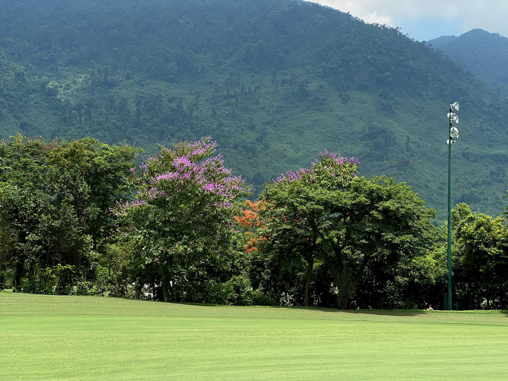 Испытайте Ba Na Hills Golf Club | Дананг
