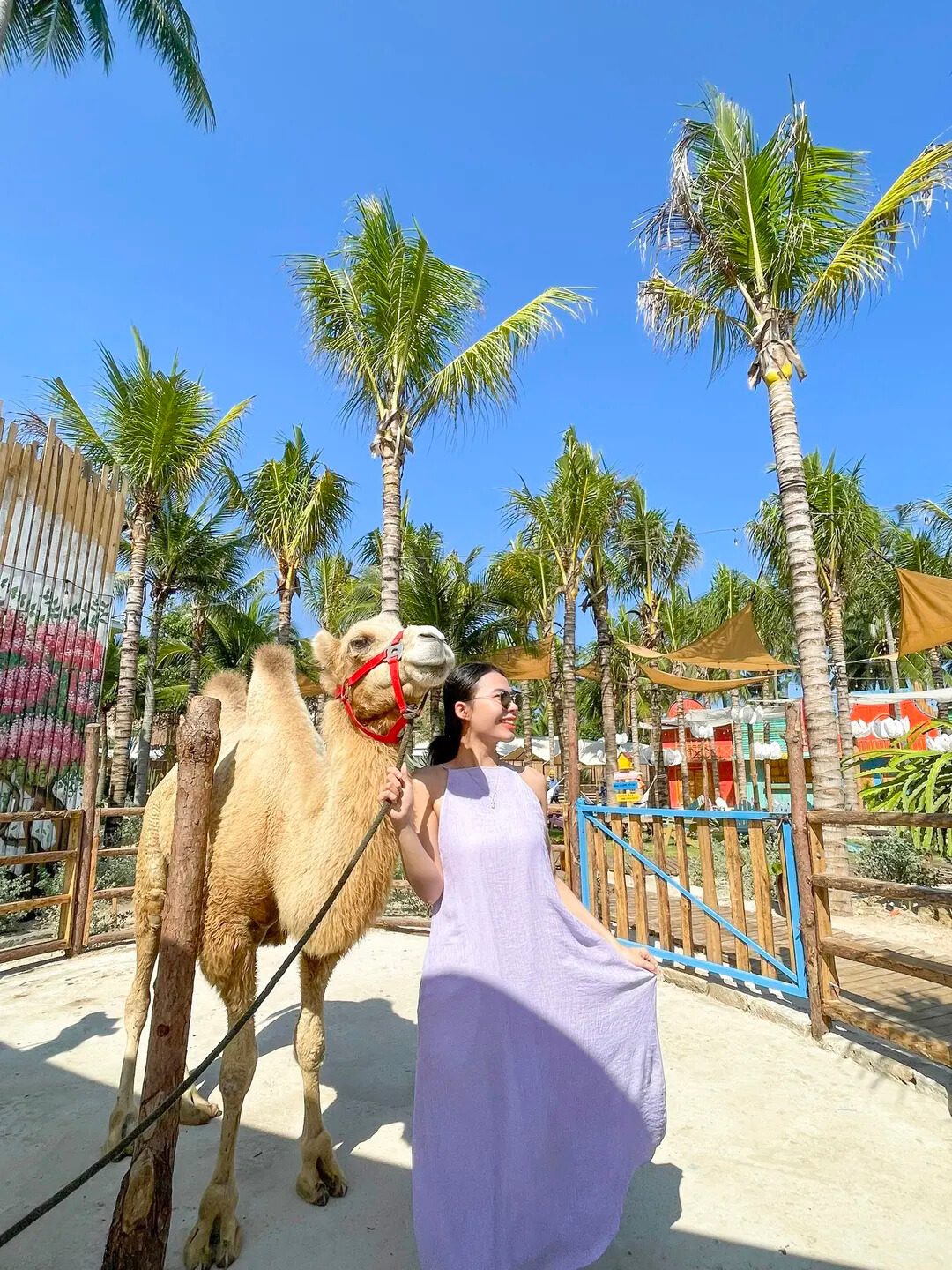 Билет на Mango Beach I Phan Thiet