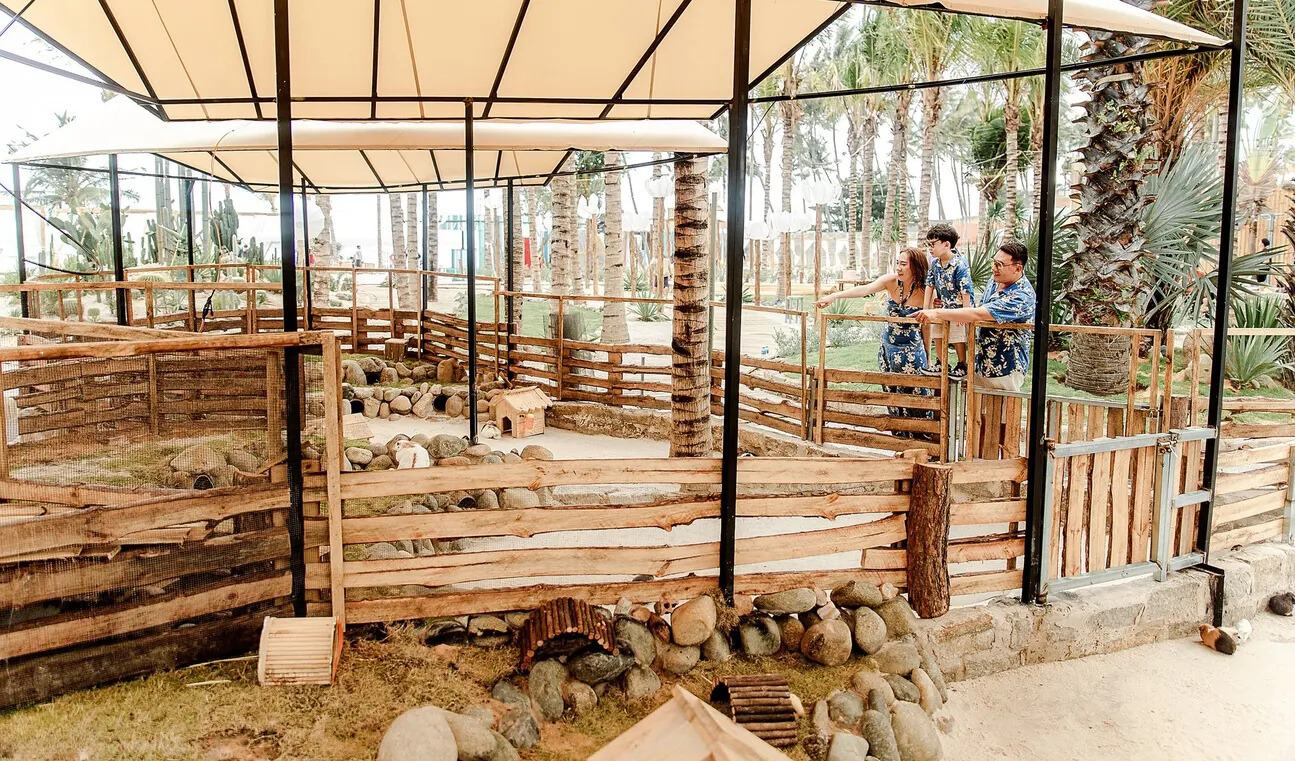 Билет на Mango Beach I Phan Thiet