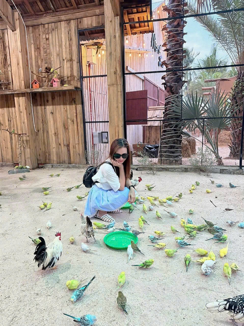Билет на Mango Beach I Phan Thiet