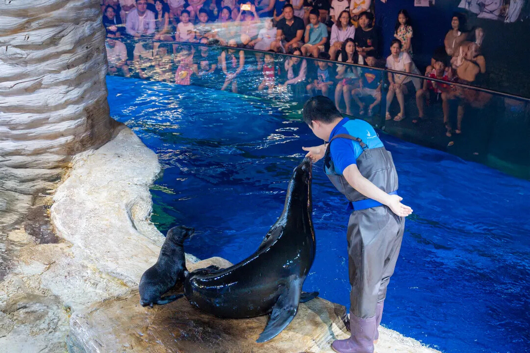 Lotte World Aquarium Билет | Западное озеро | Ханой