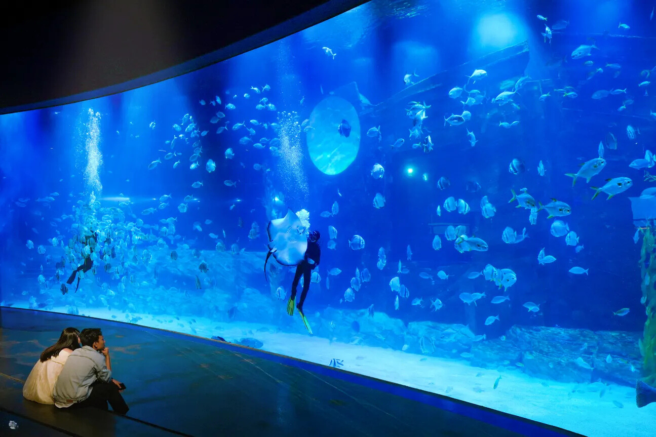 Lotte World Aquarium Билет | Западное озеро | Ханой