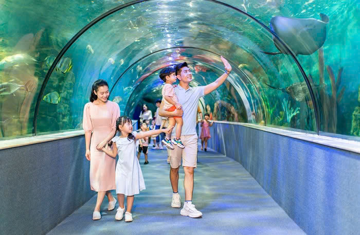Входной билет в VinKe & Times City Aquarium | Ханой.