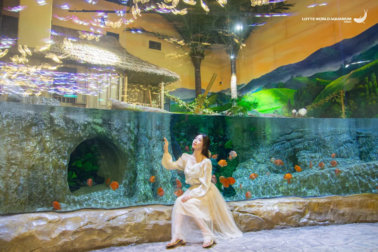 Lotte World Aquarium Билет | Западное озеро | Ханой