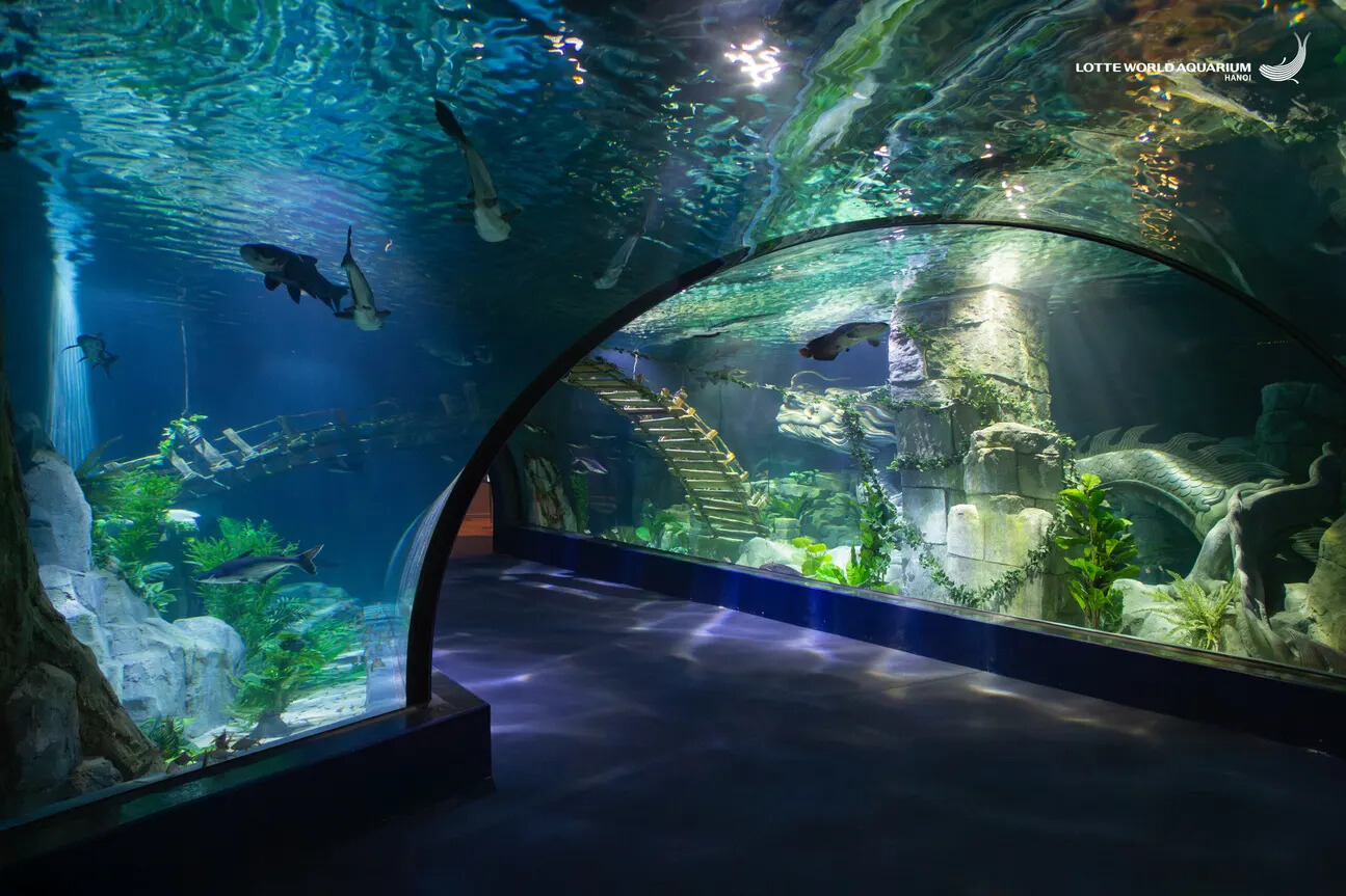 Lotte World Aquarium Билет | Западное озеро | Ханой
