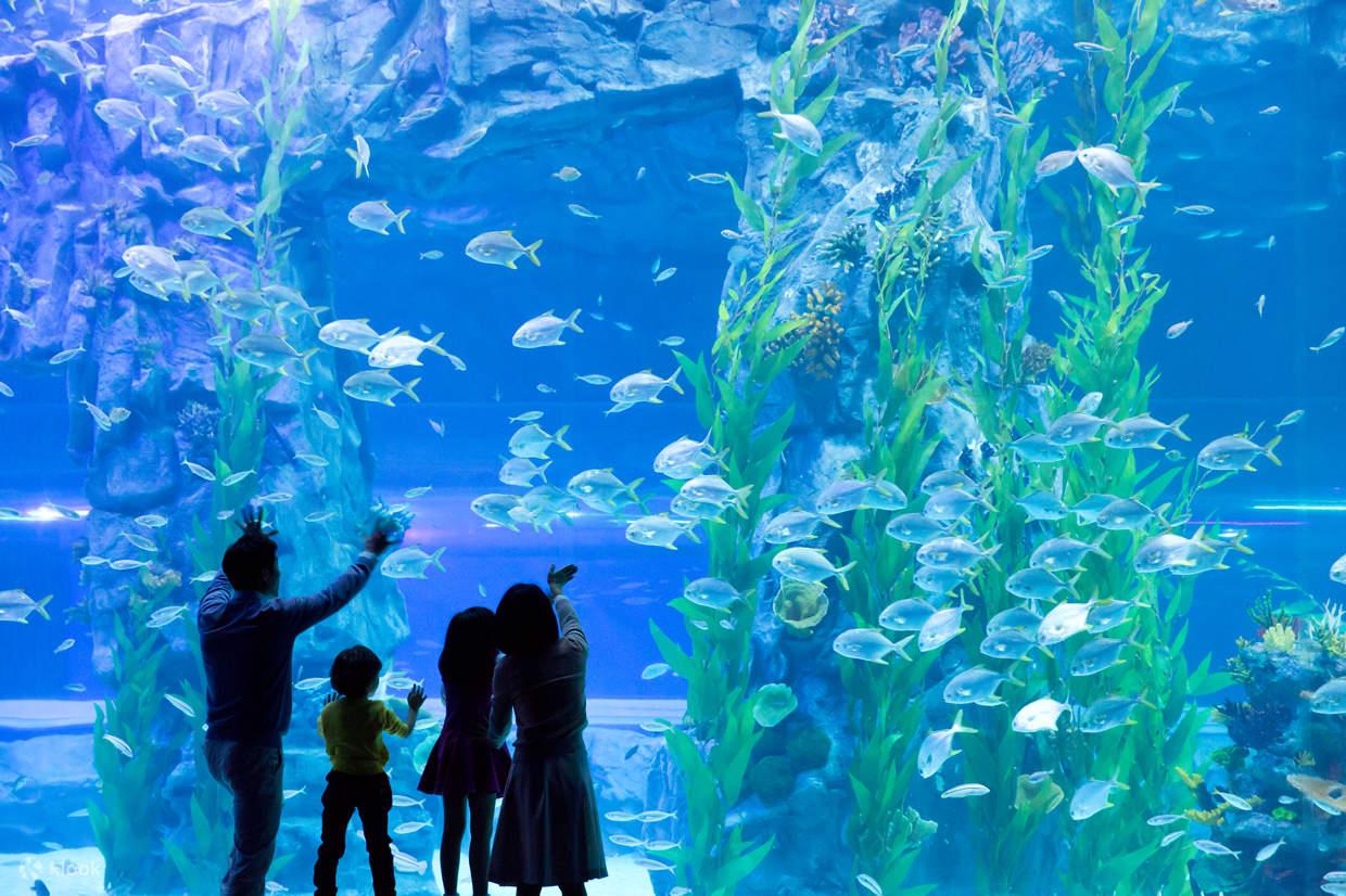 Lotte World Aquarium Билет | Западное озеро | Ханой