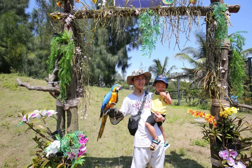 Билет на вход в зоопарк FLC Zoo Safari Park | Quy Nhon