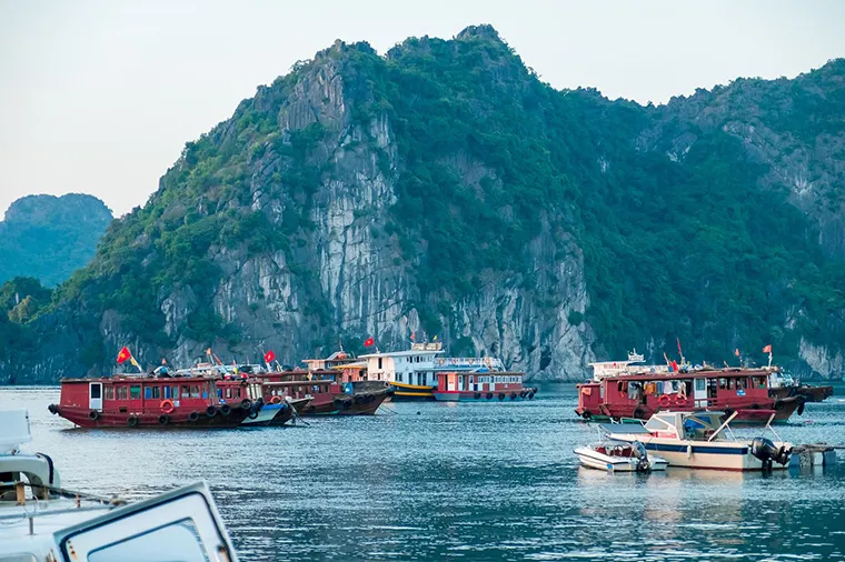 Ha Long Bay is a familiar destination for international tourists