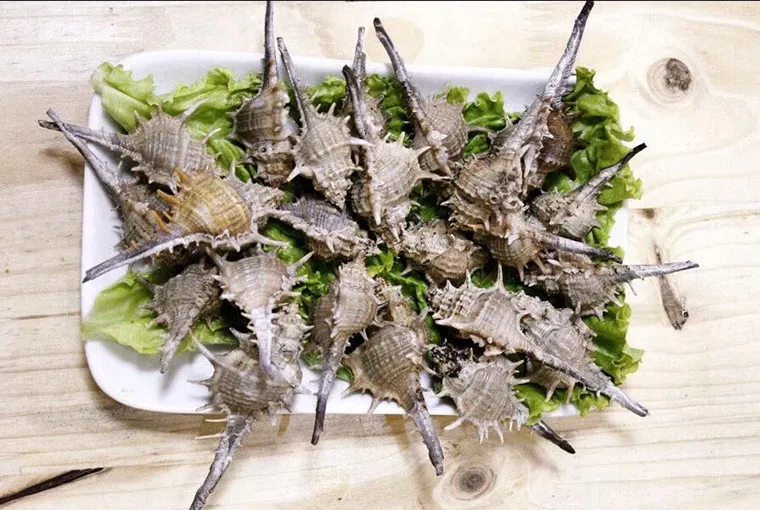 Cactus Thorn Snails, a must try dish in Phu Quoc