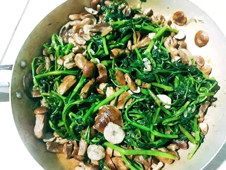 Phu Quoc food - Melaleuca mushroom