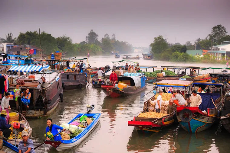 Going down the Saigon River, you can come to the Western region of the river, discover the beauty and unique culture of the Mekong Delta.