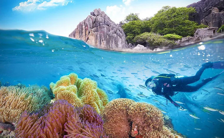 Diverse flora and fauna ecosystem