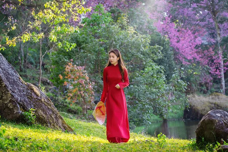 The graceful ao dai accentuates the graceful beauty of the wearer