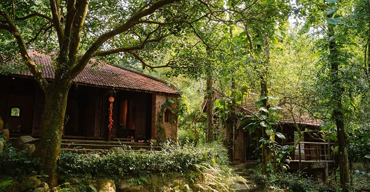 Dong Dinh Museum possesses a fresh natural setting.
