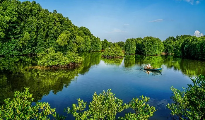 Day Tour | Explore Can Gio Mangrove Biosphere Reserve by Speedboat | Departs from Ho Chi Minh City