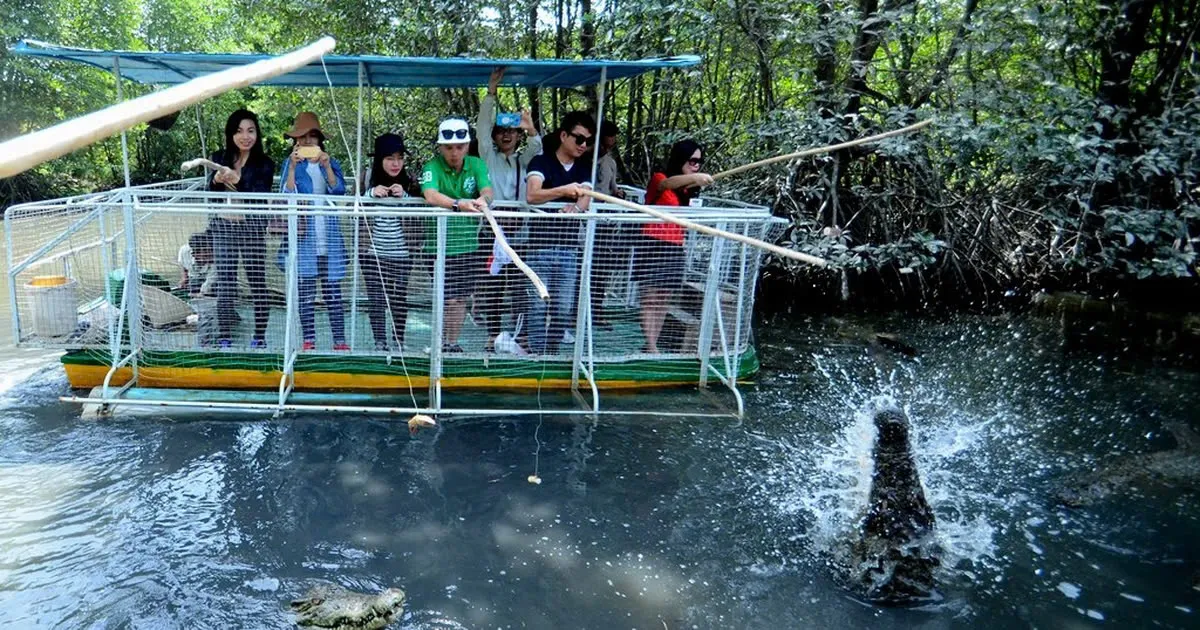 Day Tour | Explore Can Gio Mangrove Biosphere Reserve by Speedboat | Departs from Ho Chi Minh City