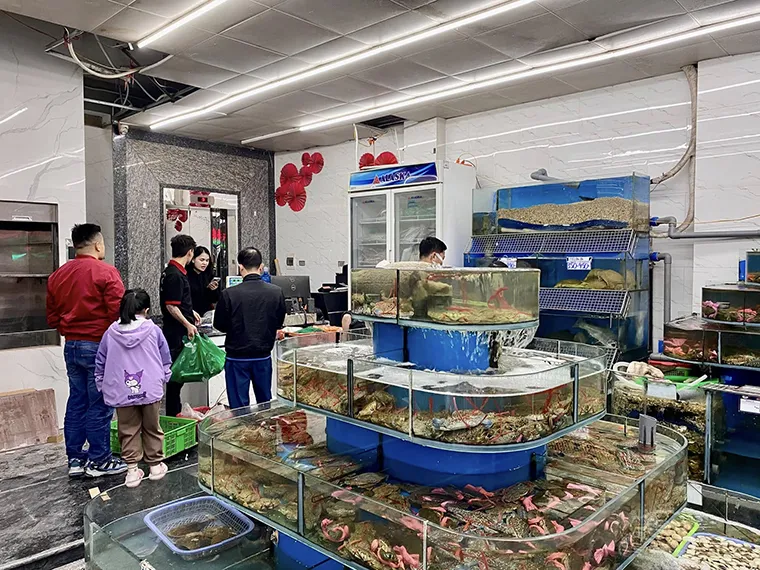 Visitors can buy fresh food and seafood at Long Bien Market 