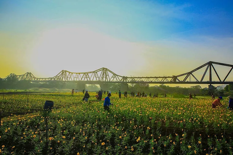 Long Biên Bridge carries a beauty that is both poetic and nostalgic