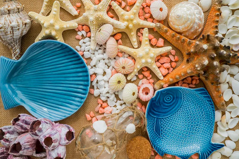 The World of Seashells offers souvenirs that capture the essence of the ocean.