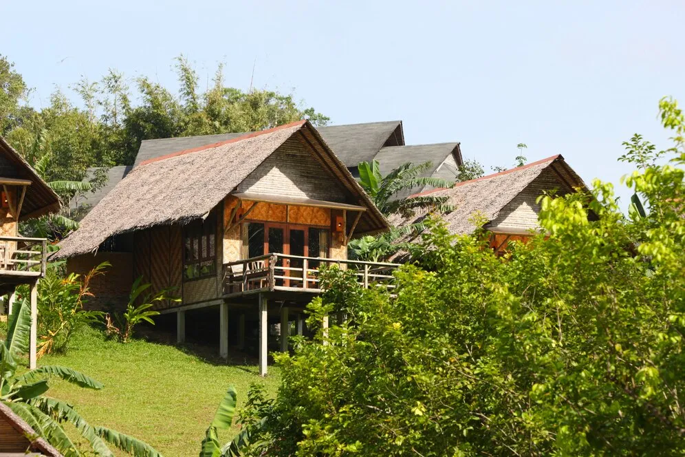 Homestays surrounded by lush greenery - Photo source: Freepik