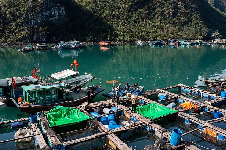 Visitors can engage in local life, explore cultural sites, enjoy water activities, savor fresh seafood, and experience traditional artistic performances