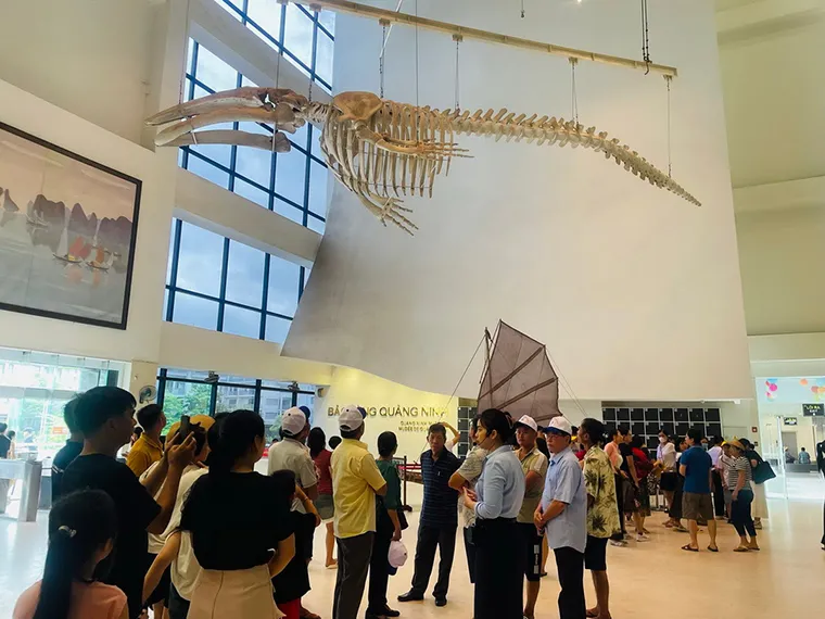 Exhibits marine biodiversity, a giant whale skeleton, and interactive displays reflecting Ha Long Bay’s natural beauty