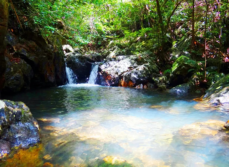 Scenic islands like Ba Mun and Tra Ngo Lon offer unique wildlife and landscapes