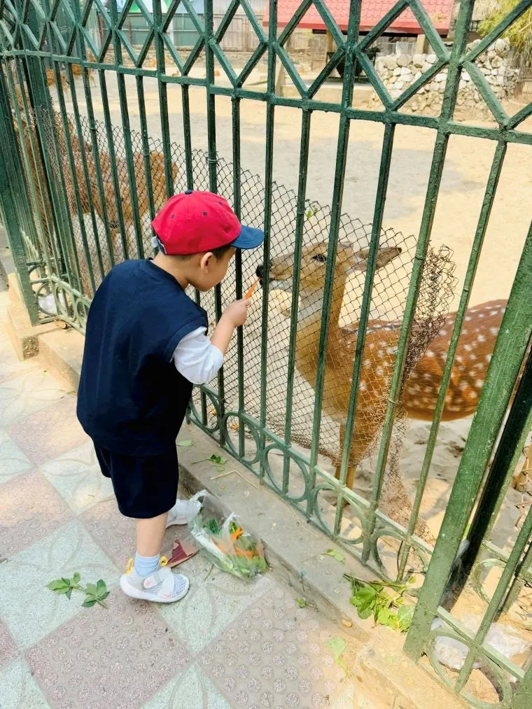 A favorite weekend spot, Thu Le Park blends greenery, wildlife and relaxation. - Facebook Đỗ Trần Thuý Vy