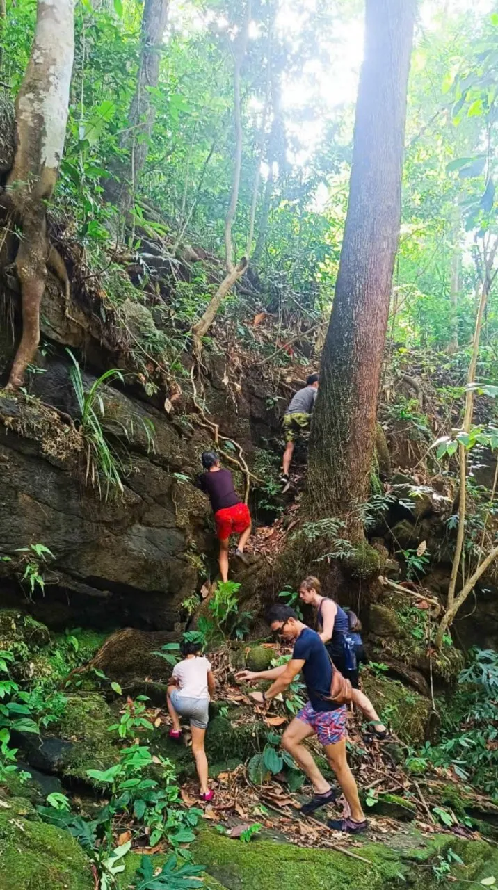 YesHue Eco экологический парк experience билет