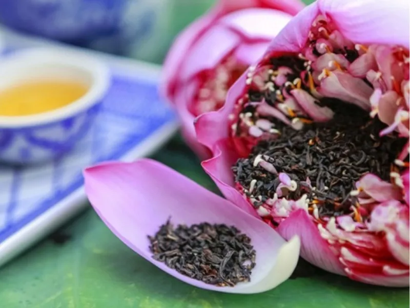 Vietnam's national flower lotus grows all over the country, with West Lake showing off some of the best kinds