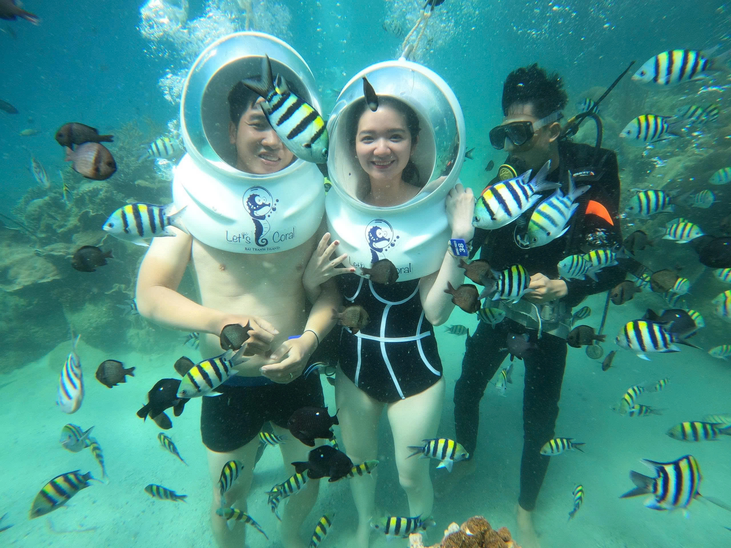 Tour Trong Ngày | Đi Bộ Dưới Đáy Biển Tại Vịnh Nha Trang