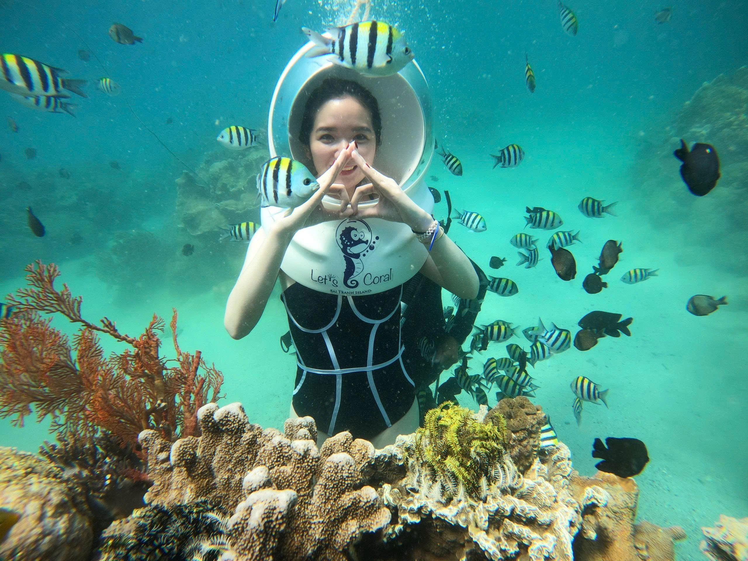 Tour Trong Ngày | Đi Bộ Dưới Đáy Biển Tại Vịnh Nha Trang