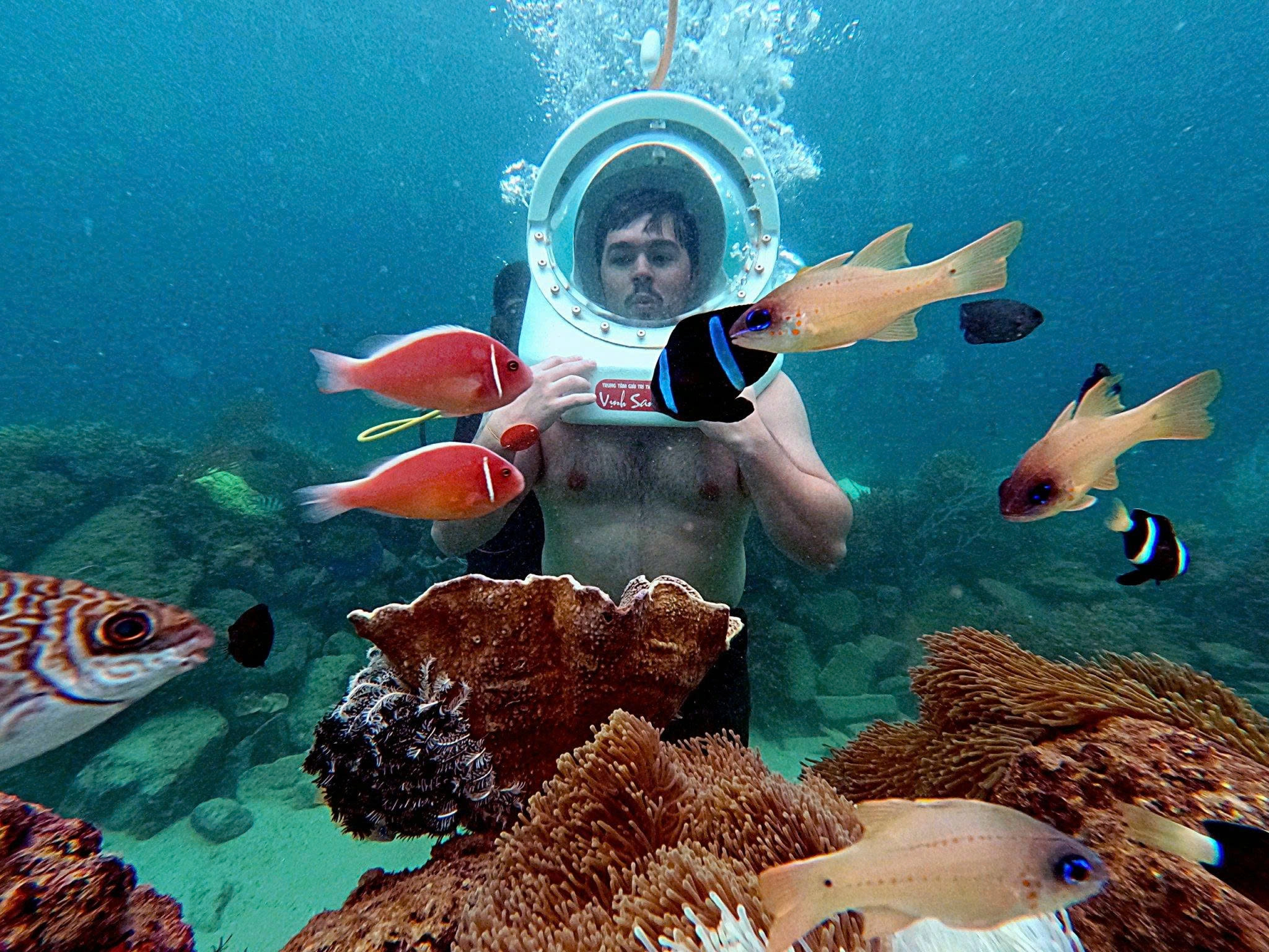 Tour Trong Ngày | Đi Bộ Dưới Đáy Biển Tại Vịnh Nha Trang