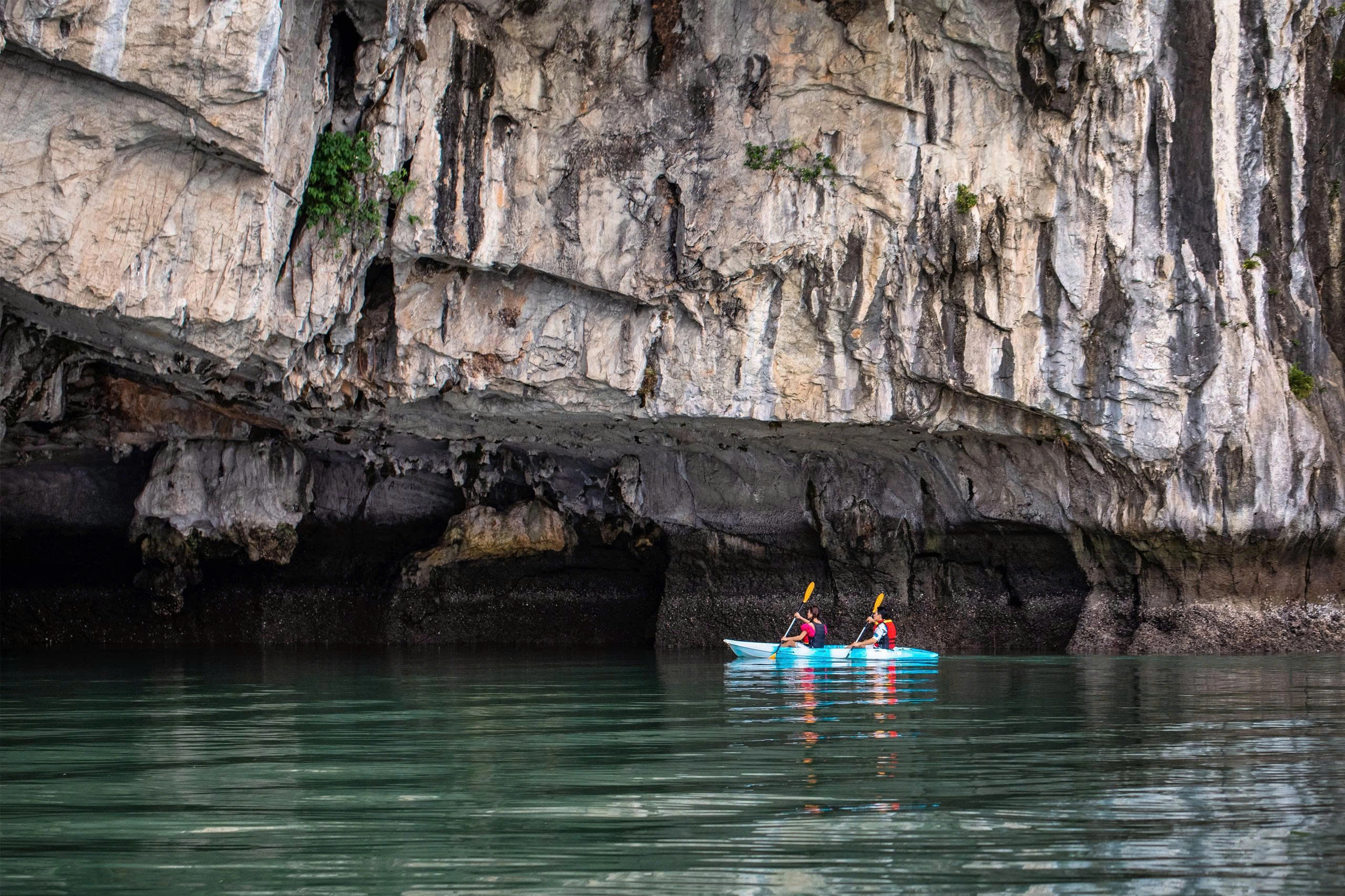 Tour 2N1Đ | Stay on Halong Bay with Indochine Premium 5* Cruise | Halong