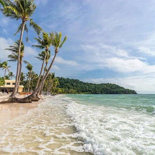 Day Tour | Fishing, Snorkeling, and Exploring the South Island | Phu Quoc