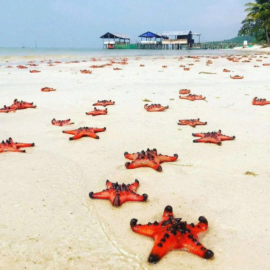 Day Tour | Fishing, Snorkeling, and Exploring the South Island | Phu Quoc