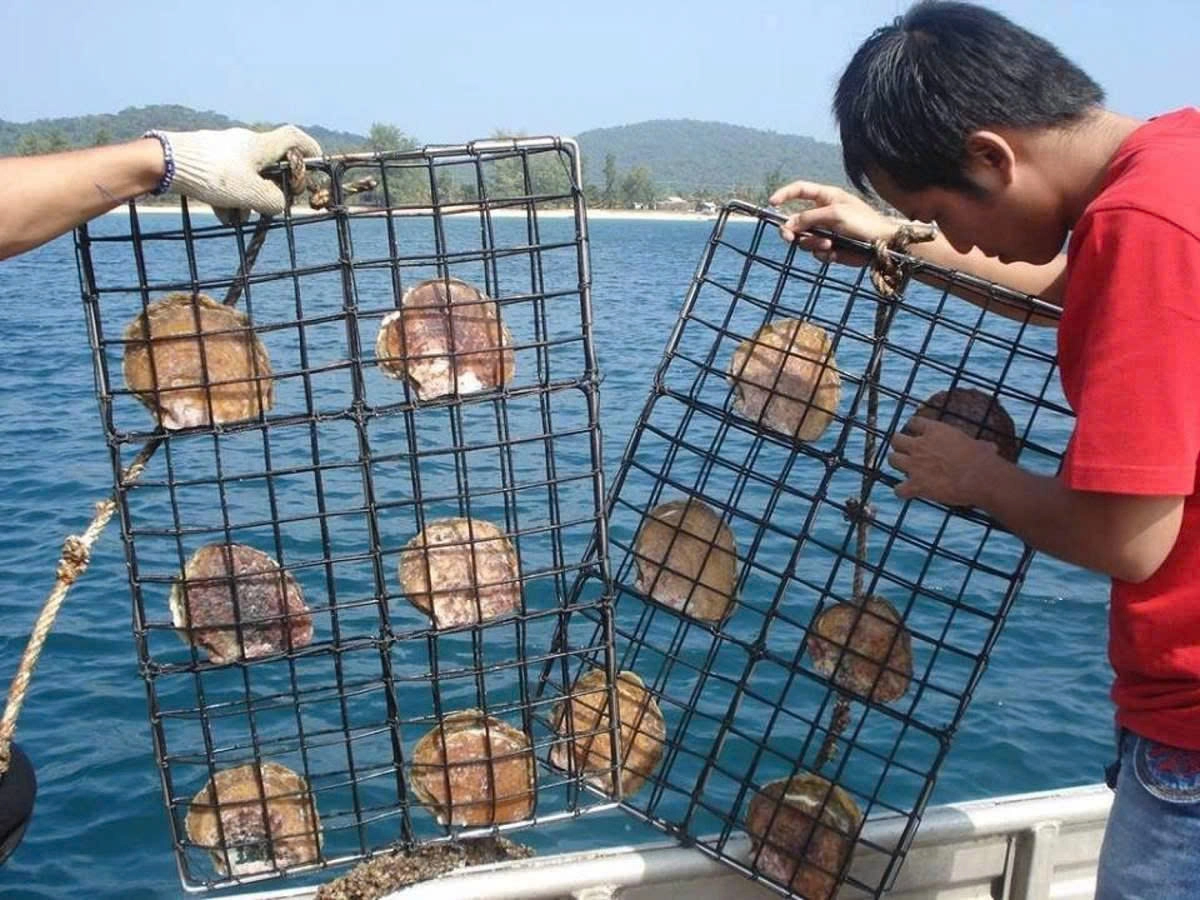 Day Tour | Fishing, Snorkeling, and Exploring the South Island | Phu Quoc
