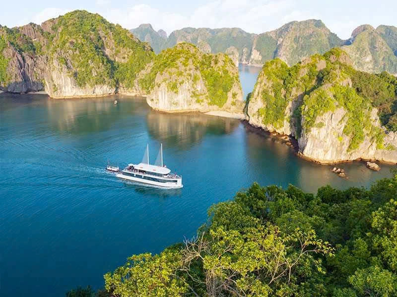 Day Tour | Explore Halong Bay with Jade Sails Cruise | Halong