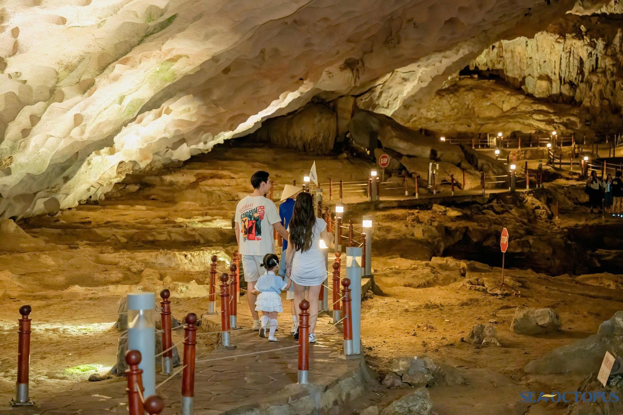 Day Tour | Discover Halong Bay - Ti Tốp Cave & Sửng Sốt Cave with Sea Octopus Cruise I Halong