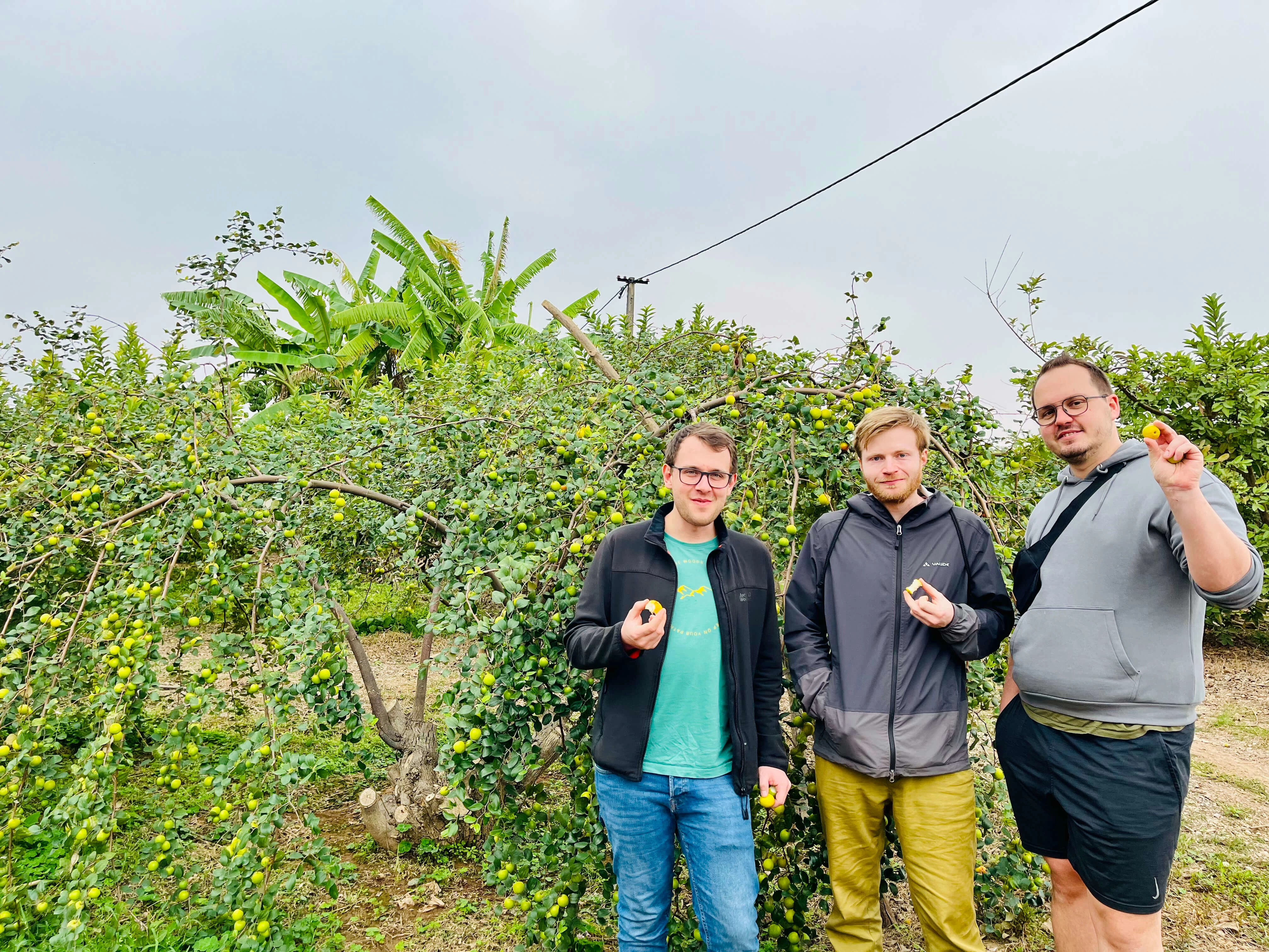 Tour Trong Ngày | Explore Hanoi Outskirts & Cổ Loa Countryside by Half-Day Jeep Tour (4.5 Hours) | Hanoi