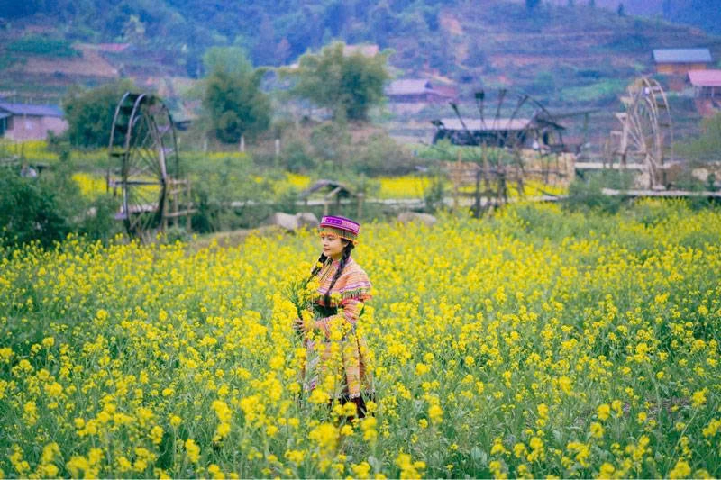 Tour Day | Visit Cát Cát Village Half Day | Sapa