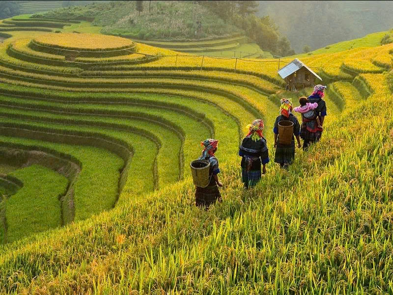 Tour Day | Visit Cát Cát Village Half Day | Sapa