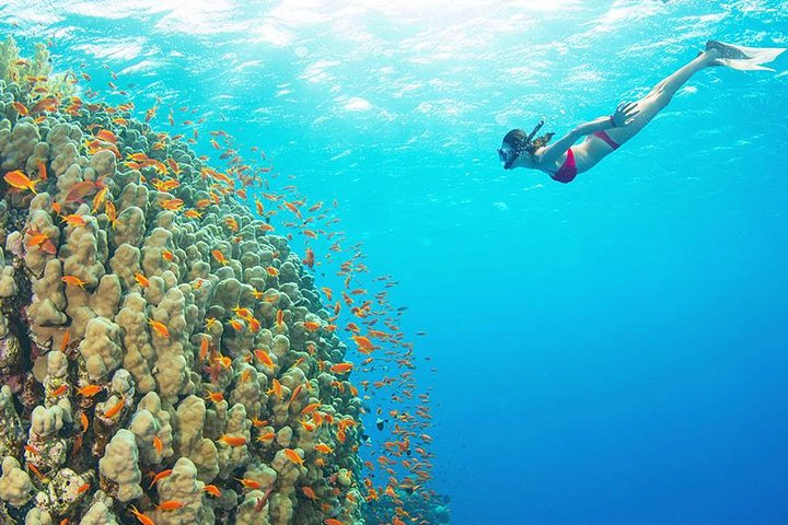 Day Tour | Discover 4 Islands with Locals and Sea-Crossing Cable Car | Phu Quoc