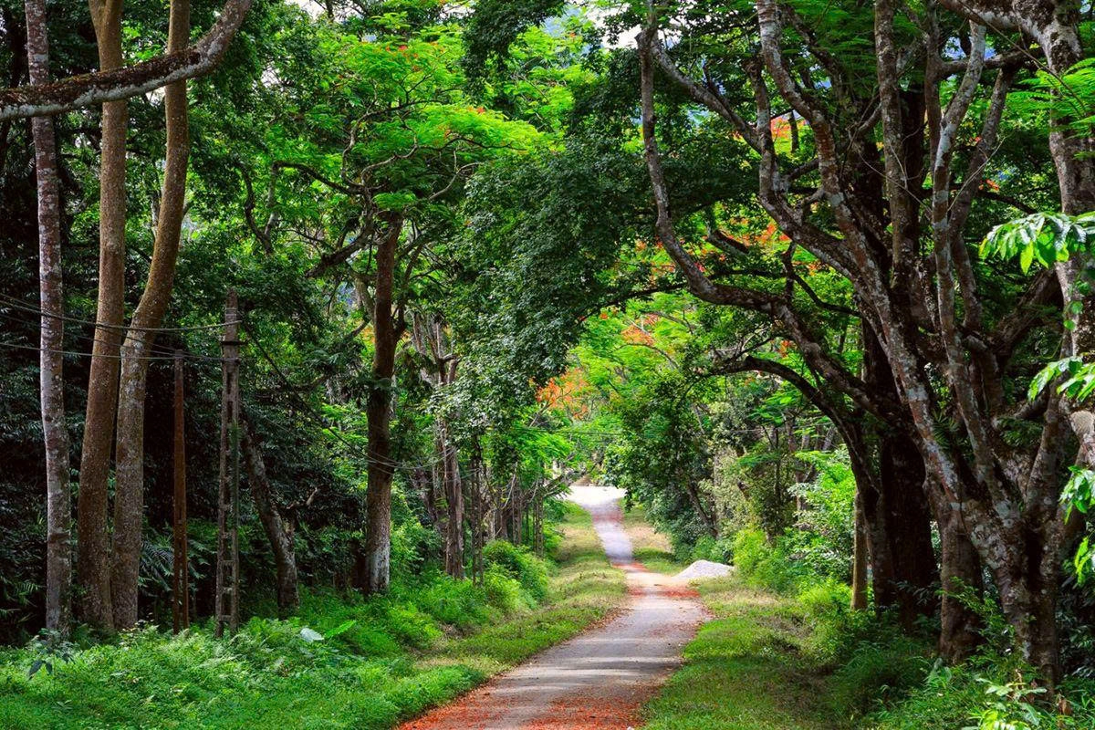 Day Tour | Cuc Phuong National Park & Van Long Wetland | Departs from Hanoi/Ninh Binh