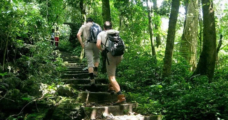 Day Tour | Cuc Phuong National Park & Van Long Wetland | Departs from Hanoi/Ninh Binh