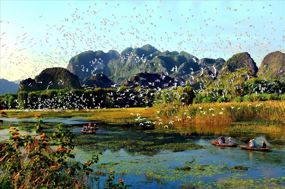 Day Tour | Cuc Phuong National Park & Van Long Wetland | Departs from Hanoi/Ninh Binh