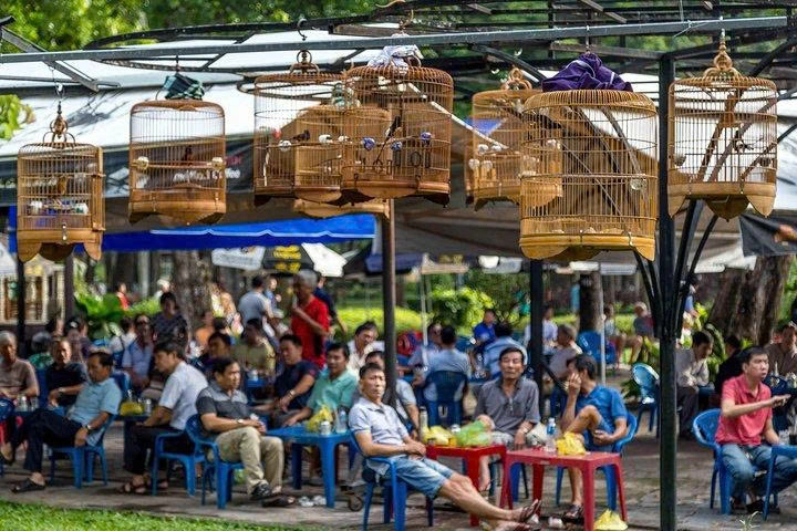 Day Tour | Saigon City Exploration by Motorbike | Departs from Ho Chi Minh City