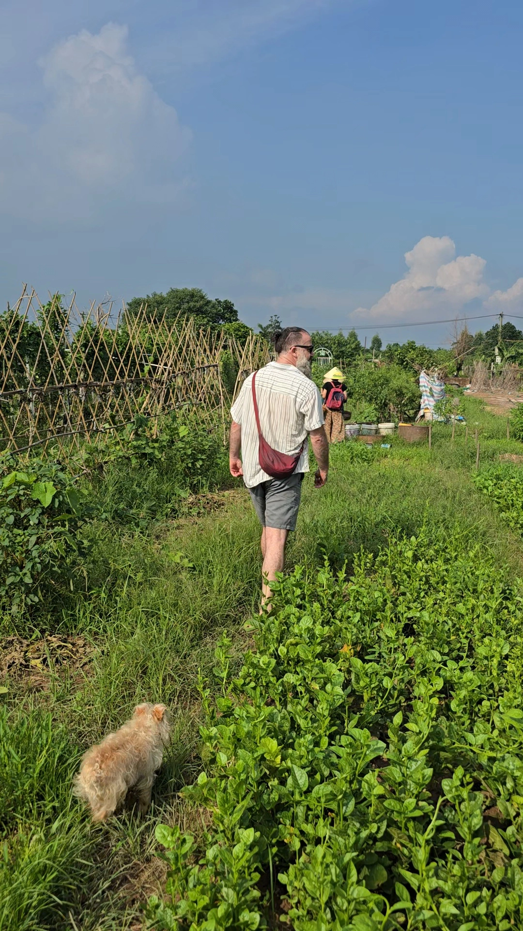 Day Tour | Farm Visit & Harvesting Experience | Hanoi
